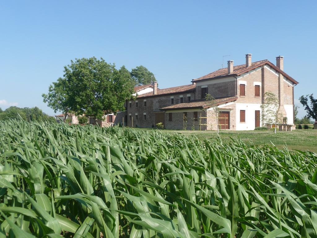 Villa Barchessa Da Rio Ponte San Nicolò Zimmer foto