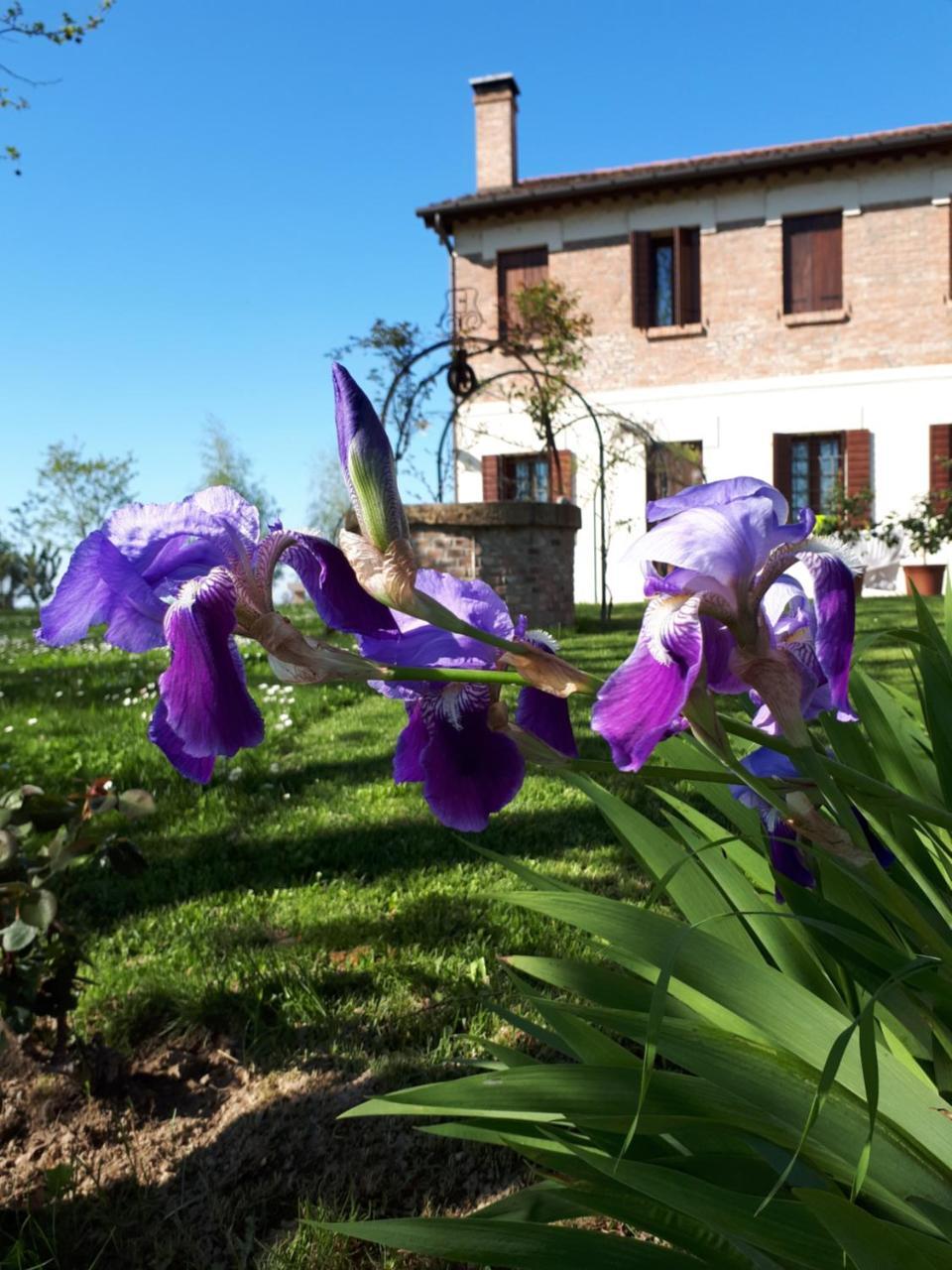 Villa Barchessa Da Rio Ponte San Nicolò Exterior foto
