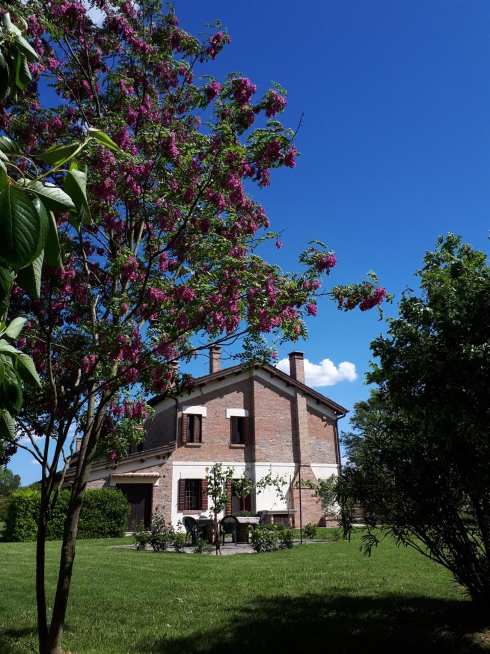 Villa Barchessa Da Rio Ponte San Nicolò Exterior foto